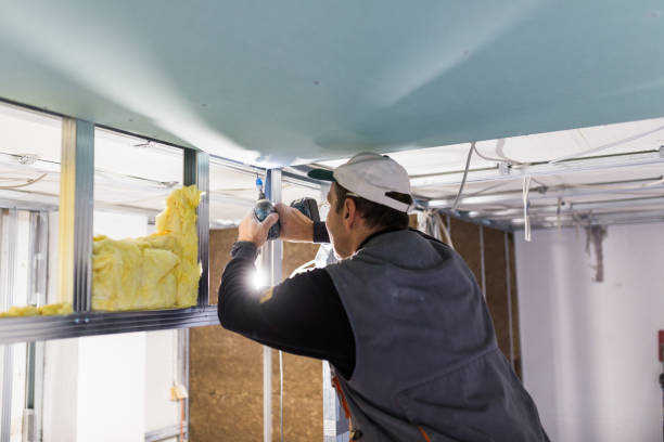 Best Residential Insulation in Ponce Inlet, FL