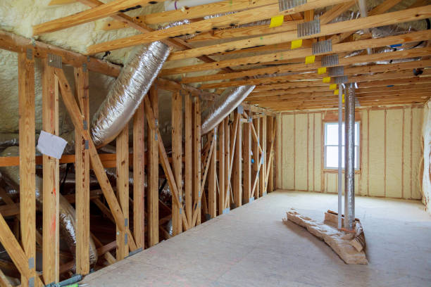 Best Eco-Friendly Insulation in Ponce Inlet, FL