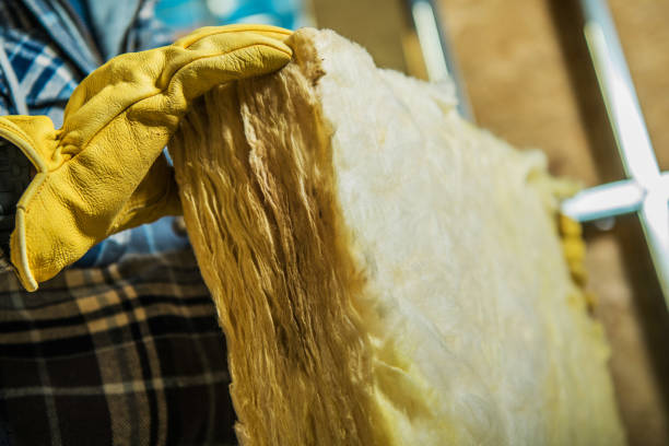 Best DIY Insulation Kits and Guidance in Ponce Inlet, FL