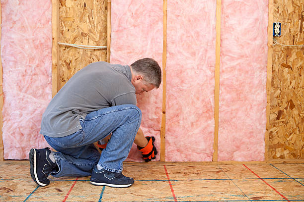 Best Blown-in Insulation in Ponce Inlet, FL